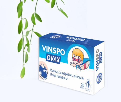 In hộp thuốc giá tốt tại Việt Vương 2024
